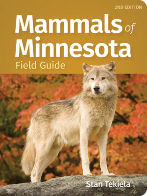 cover image of Mammals of Minnesota Field Guide